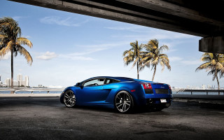 Blue sports car parking palm - a city in the background free wallpaper