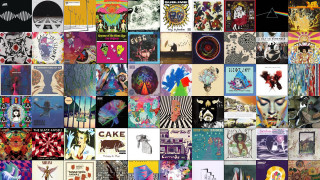 Collage posters people animals colors - the middle free wallpaper