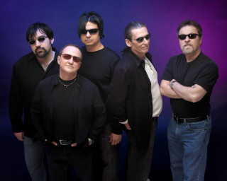Men sunglasses black shirts black - bill lewis free wallpaper