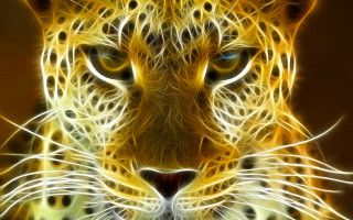 Leopard face blue eyes yellow - yellow free wallpaper