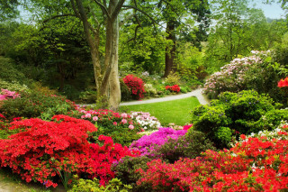 Garden flowers trees path center - rich vivid color free wallpaper