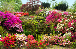 Garden colorful flowers trees bench - colour free wallpaper