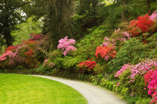 Park path flowers bench scenery - a path in a park free wallpaper