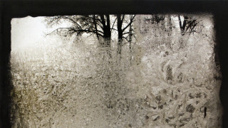 Window tree snow outside sill - outside free wallpaper