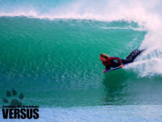 Surfing person dog paw ocean - in the ocean free wallpaper