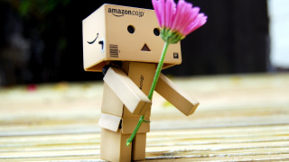 Toy flower amazon logo hand - a picture free wallpaper for desktop