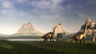 Dinosaurs walking field mountains bird - primitivism free wallpaper