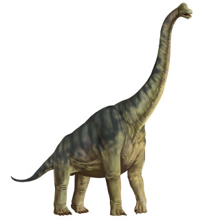 Dinosaur standing white background shadow - a dinosaur free wallpaper