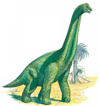 Green dinosaur palm tree beach - an illustration free wallpaper