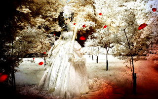 Woman white dress field flowers 8 - a field of flowers free wallpaper
