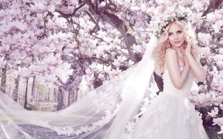 Wedding dress woman tree flowers - a veil free wallpaper