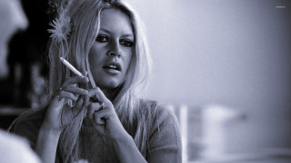 Woman brushing hair comb brush - 1 9 6 0 s free wallpaper