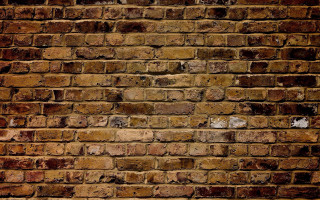 Brick wall white cat sitting - a white cat free wallpaper