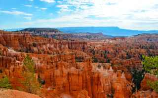 Canyon trees mountains sky bridge - scenic free wallpaper