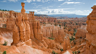Scenic canyon tall rocks trees - betye saar free wallpaper