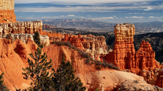 Mountain range trees foreground background - a view of a mountain range free wallpaper
