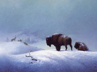 Bison snowy landscape deer distance - an oil painting free wallpaper