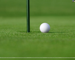 Golf ball green course tee - a golf ball free wallpaper