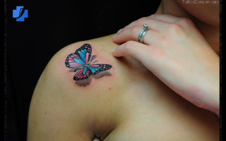 Woman butterfly tattoo shoulder left - arm free wallpaper