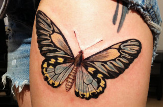 Butterfly tattoo woman thigh image - butterfly free wallpaper