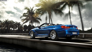 Blue convertible car palm trees - palm tree free wallpaper