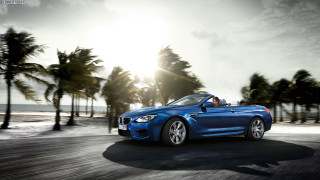 Blue car driving beach palm - the horizon free wallpaper