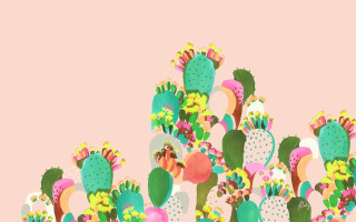 Cactus plants pink background pink - surreal free wallpaper
