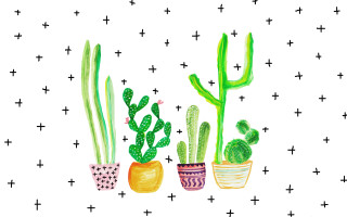Cactus plants pots white background - naive free wallpaper