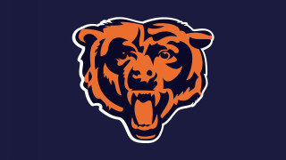 Bear head orange blue background - 16k free wallpaper