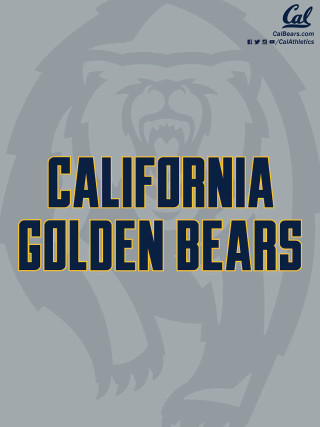 Gray yellow california golden bears - digital free wallpaper