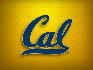 Cal logo yellow background blue - background free wallpaper