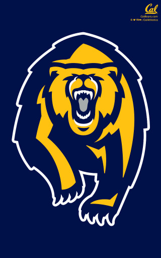 Bear mouth open hat blue - alex petruk ape free wallpaper