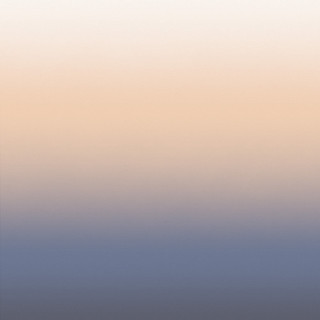 Lone bird beach sunset hazy - sunset free wallpaper
