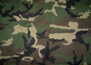 Camouflage print black white stripe 2 - the other side free wallpaper