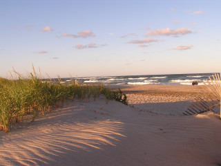 Beach grassy horse dusk cityscape - bruce munro free wallpaper