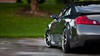 Car parked wet lot tree 2 - shiny free wallpaper