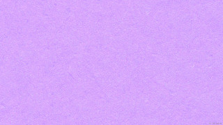 Purple background white bird black - a black bird free wallpaper
