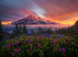 Mountain clouds flowers colorful sky - a mountain free wallpaper
