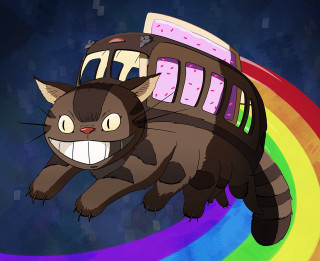 Cat flying rainbow bus foreground - madhouse free wallpaper