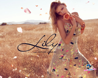 Woman dress field flowers confetti - claire dalby free wallpaper