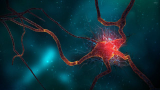 Nematic cell dark blue red - a computer free wallpaper