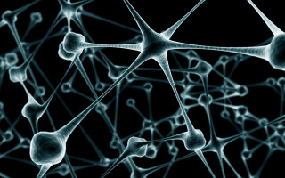 Network spheres lines computer generated - constant permeke free wallpaper