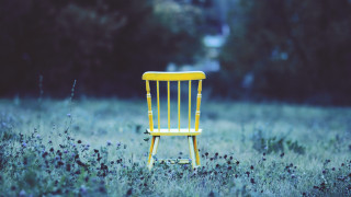 Yellow chair field grass flowers - a house and trees free wallpaper