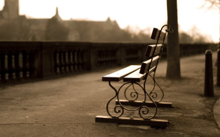 Bench tree fenced clocktower scenery - the side of a road next free wallpaper