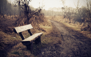 Wooden bench dirt road woods - a wooden bench free wallpaper