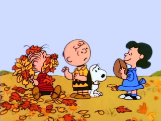 Charlie friends playing leaves tree 2 - charles schulz free wallpaper