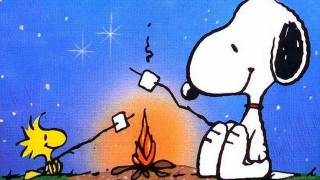 Snoopy dog campfire sitting lap 3 - a campfire free wallpaper