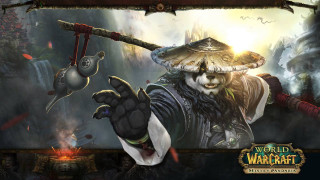 Man hat sword skull head - his hand and a skull free wallpaper