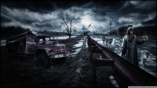 Man truck road forest birds - apocalyptic free wallpaper