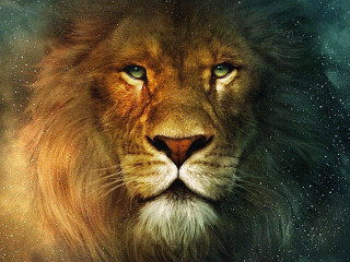 Lion blue eyes black mane 2 - majestic free wallpaper